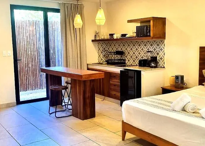 Estudio Con Terrazza Appartement