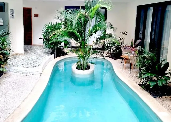 Estudio Con Terrazza Appartement